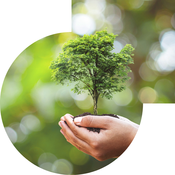 关怀人类、文化、环境与社会